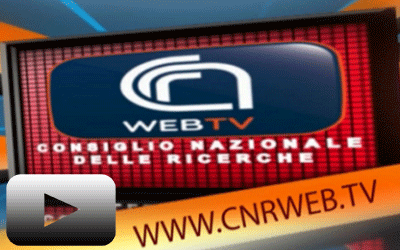 web-tv-link